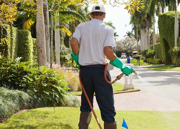 About Brainardsville NY Pest Control